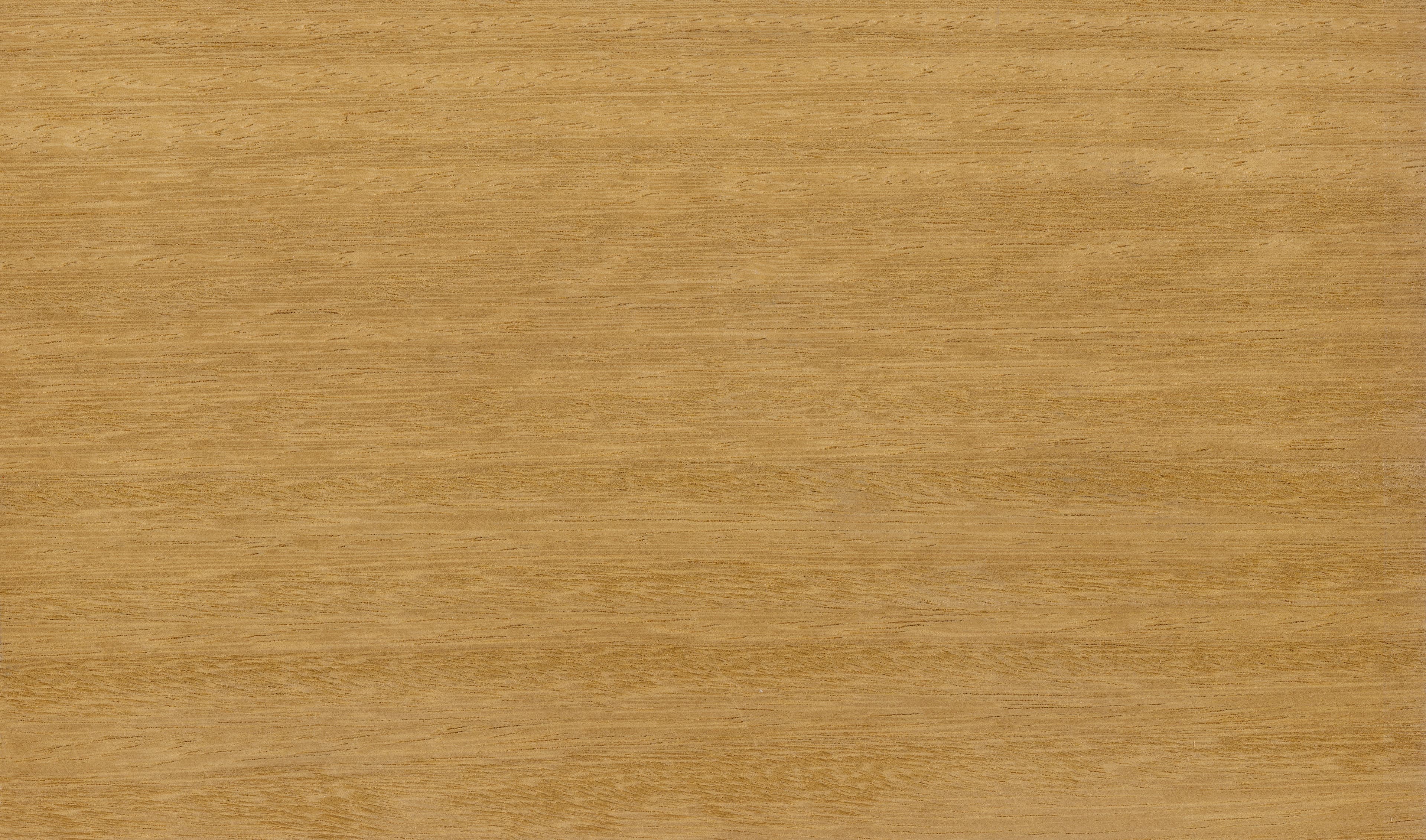 Iroko (Chlorophora Excelsa)